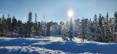 Winter Sun